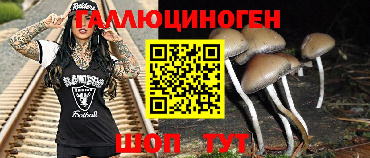 Галлюциногенные грибы мухоморы  Вход с VPN  купить наркотики сайты  Скопин 