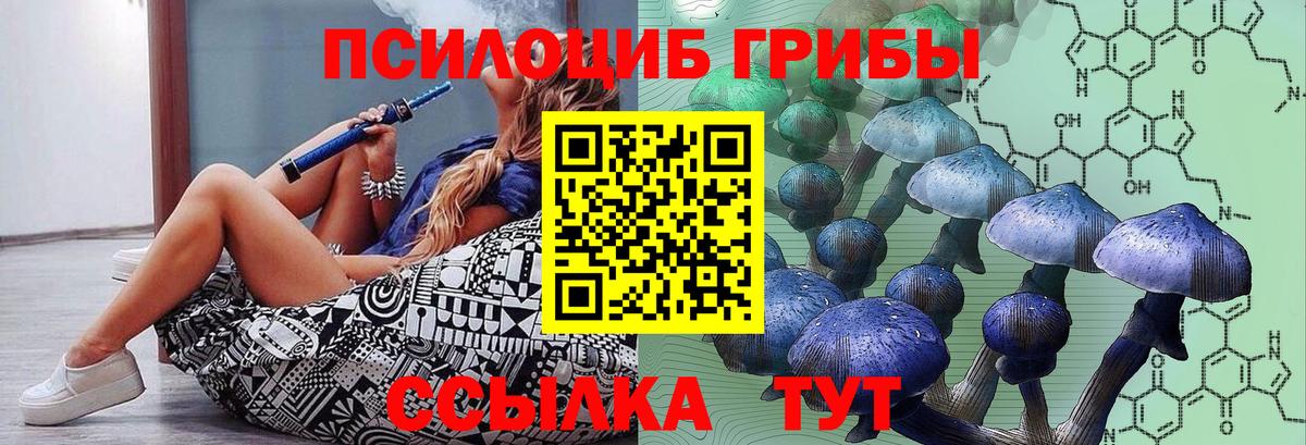 Псилоцибиновые грибы мицелий Скопин
